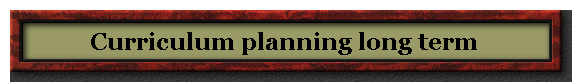 Curriculum planning long term 