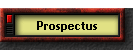 Prospectus