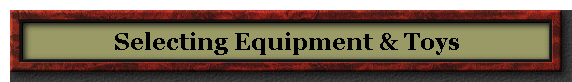 Selecting Equipment & Toys