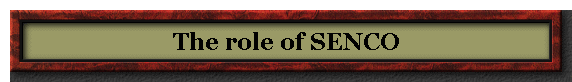 The role of SENCO